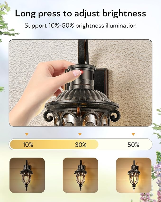 VIANIS Outdoor Motion Sensor Light Dusk to Dawn Outdoor Light Fixtures 2 Pack Outside Lights for House Anti-Rust Bronze Outdoor Wall Lights for House Garage Entryway Seed Glass Vintage Style