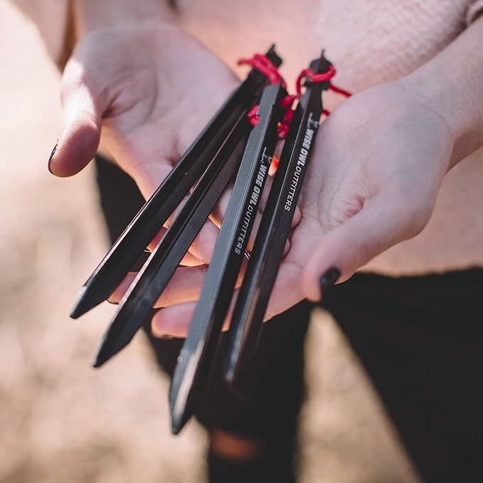 Wise Owl Outfitters Tent Stakes Heavy Duty 16 Pack – Lightweight Non-Rust Aircraft Aluminum Tent Pegs - Metal Ground Stakes for Camping Canopy Tarp