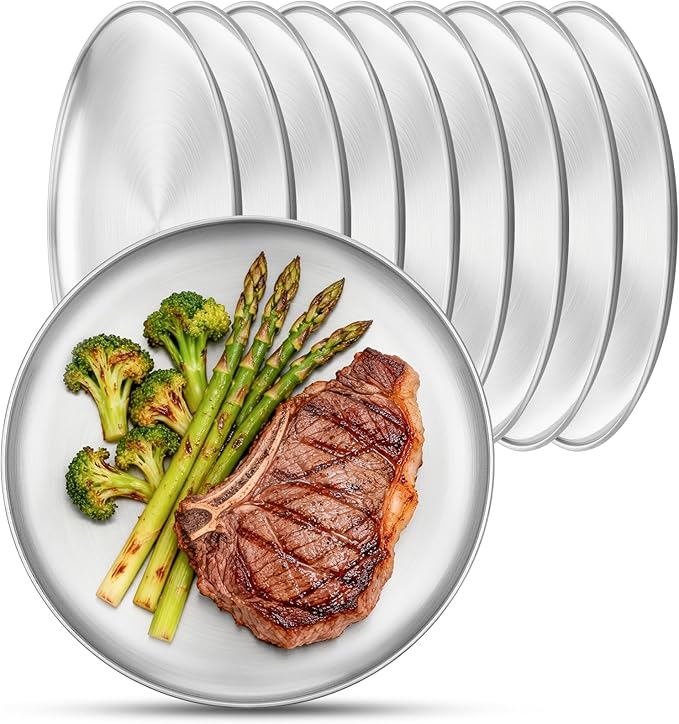 Metal Camping Plates 10 Pack 9.1 inch Small 201 Stainless Steel Plates Reusable Pizza Food Serving Snack Eating Salad Dishes Round Brushed Finish Silver Sturdy Dish Oven Dishwasher Safe