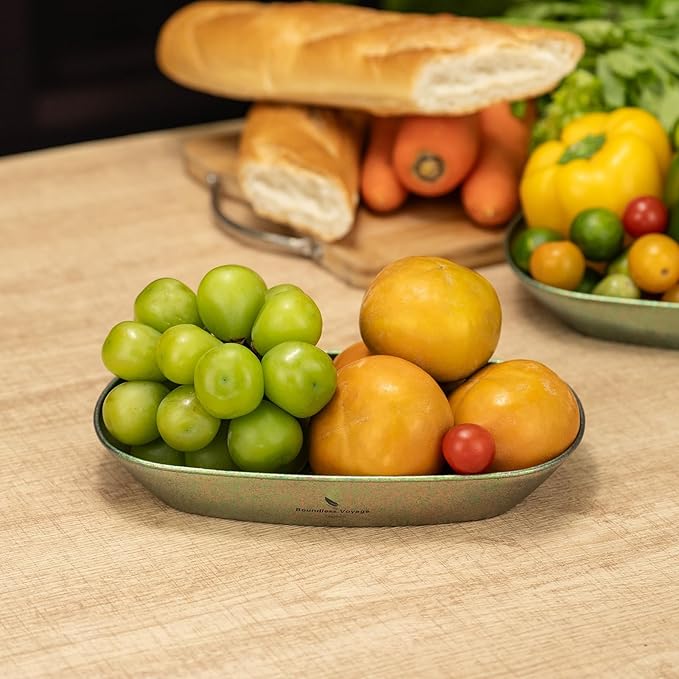 iBasingo Titanium Camping Plates 10 / 9 Lightweight Portable Metal Service Dishes Outdoor indoor Single-layer Durable Bread Dessert Vegetables Fruit Chips Dinnerware (Green Ti1142T-S)