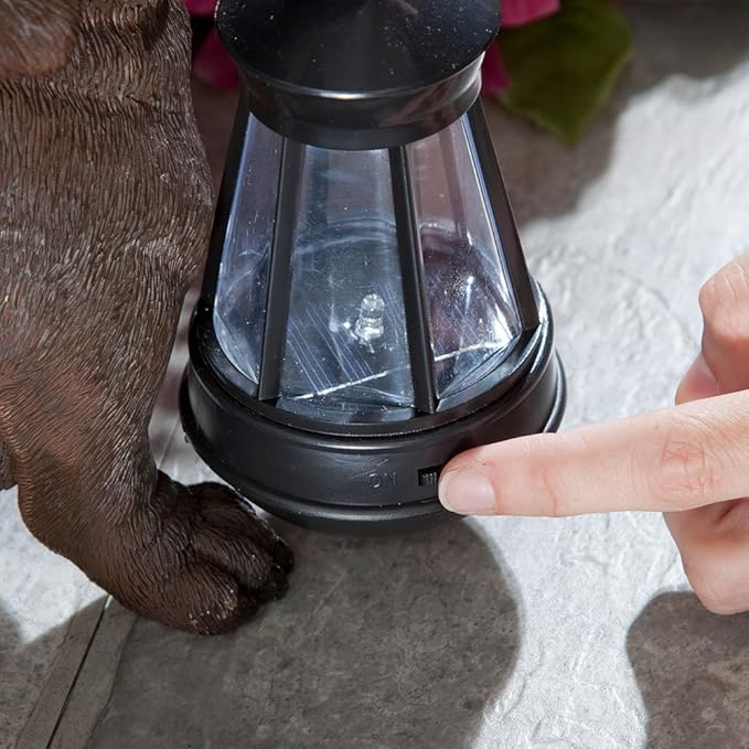 Bits and Pieces - Dog Solar Lantern Statue - Solar Powered Garden Lantern - Resin Dog Sculpture with LED Light - Outdoor Lighting and Décor (Dachshund)