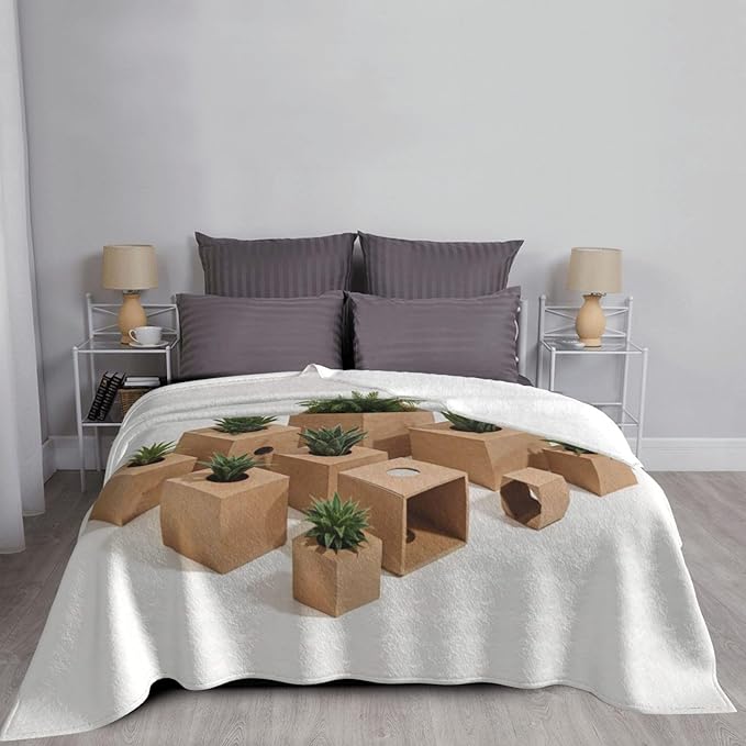 ardboard Boxes 80x60 Printed Soft Fleece Blanket for Sofa Bed and Camping - Cozy Blanket for Travel Picnics Nighttime Use