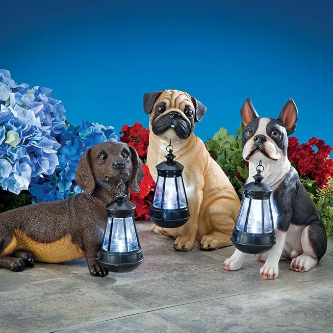 Bits and Pieces - Dog Solar Lantern Statue - Solar Powered Garden Lantern - Resin Dog Sculpture with LED Light - Outdoor Lighting and Décor (Dachshund)