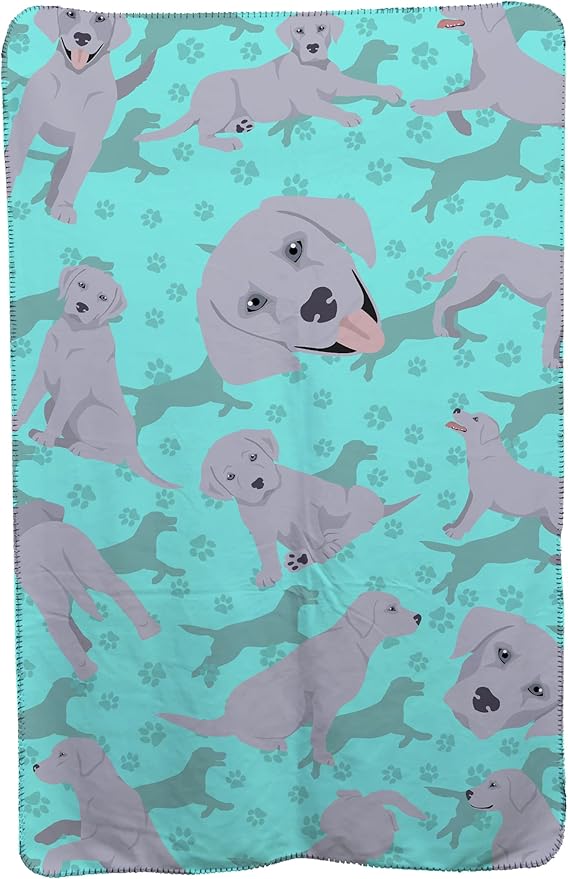 Caroline's Treasures MLM1054TBLT Silver Labrador Retriever Soft Travel Blanket with Bag Airplane Blanket Indoor Outdoor Camping Blanket for Traveling Picnics Beach Trips Concerts