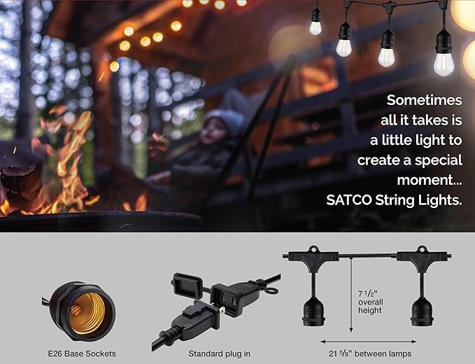 Satco S8039 Incandescent Indoor/Outdoor String Lights Black Bulbs Not Included 24 Feet (Pack of 1)