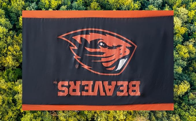 Rincon Official (Oregon State University) University College Hammock - Premium 210T Nylon Spacious 112 x 74 inches (LxW) Double &amp Single Camping Hammock - Portable Gear for Students and Alumni