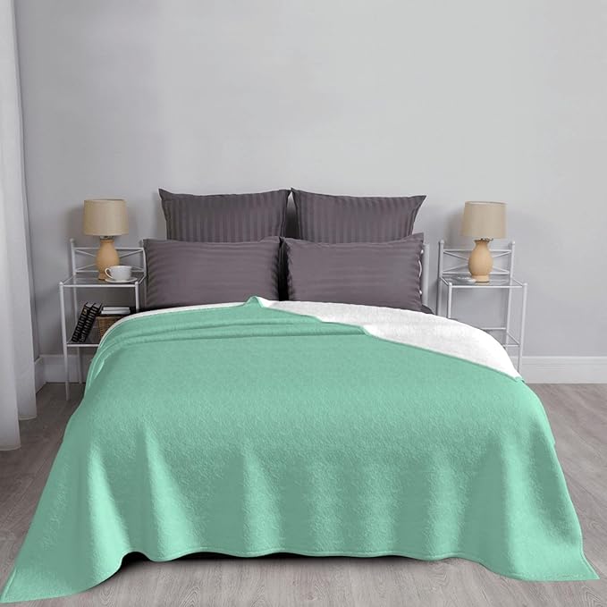 Turquoise Soft Fleece Blanket 60 * 50 inch Soft Sofa Blanket Suitable for Sofa Camping Travel Night Cover Blanket