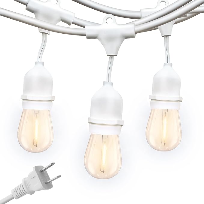 Brightech Ambience Pro Waterproof LED Outdoor String Lights 48 Ft Hanging Dimmable Vintage Edison Bulbs 15 Bulbs 2W