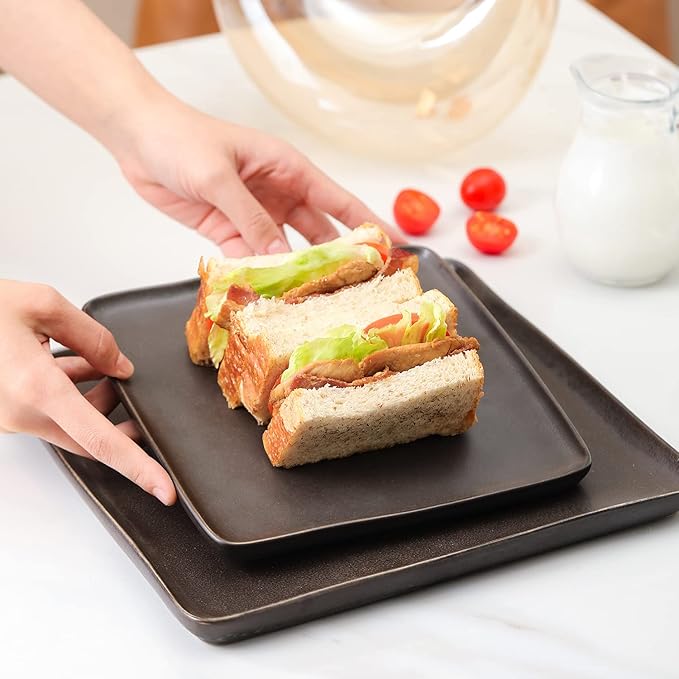 Stone Lain Jonny Stoneware 12 Piece Dinnerware Set Home Kitchen Modern Square Dish Set with Dinner Plates Salad Plates &amp Bowls Brown