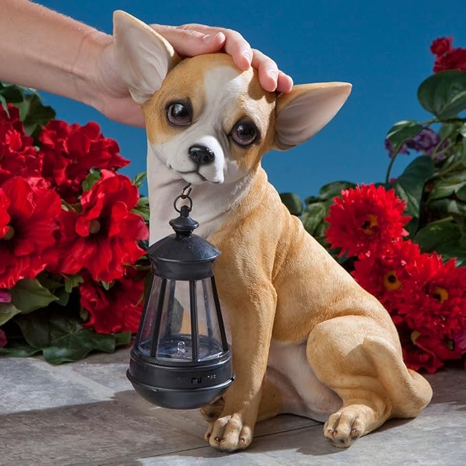 Bits and Pieces - Dog Solar Lantern Statue - Solar Powered Garden Lantern - Resin Dog Sculpture with LED Light - Outdoor Lighting and Décor (Chihuahua)
