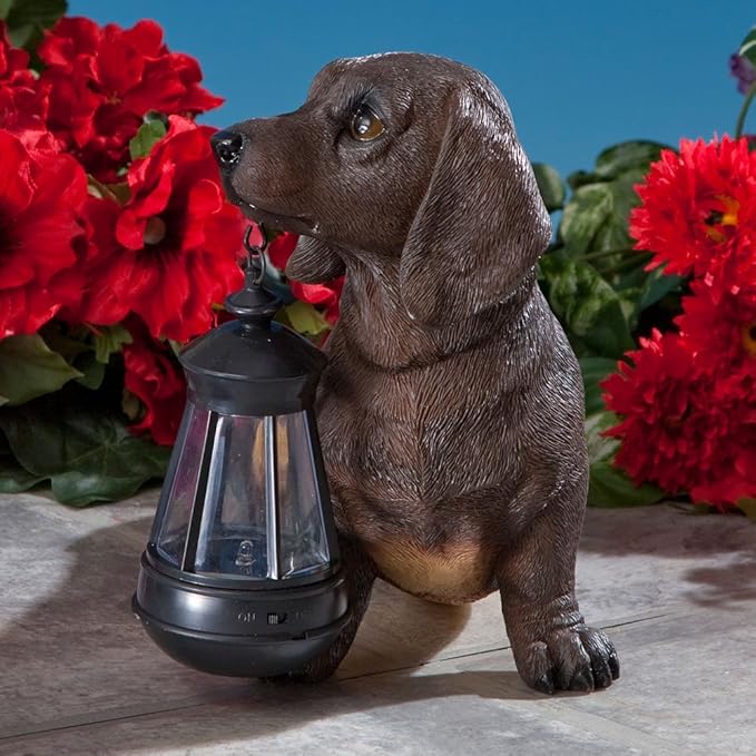 Bits and Pieces - Dog Solar Lantern Statue - Solar Powered Garden Lantern - Resin Dog Sculpture with LED Light - Outdoor Lighting and Décor (Dachshund)