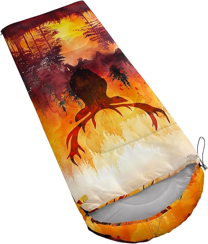 AILONEN Cartoon Car Sleeping BagsLightweight &amp Waterproof3 Season Warm &amp Cool WeatherCute Stars Printed Vehicles Transportation Sleeping Bags for BoysKidsAdults TravellingOutdoors