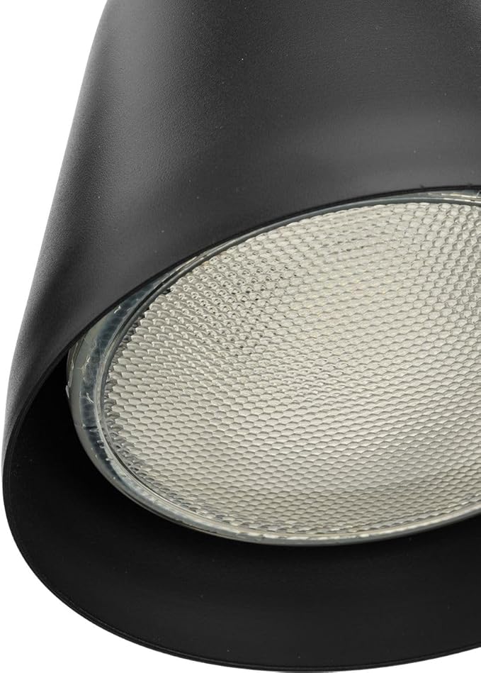 Progress Lighting 1-Light Adjustable Swivel Flood Light Outdoor P5202-31 Black