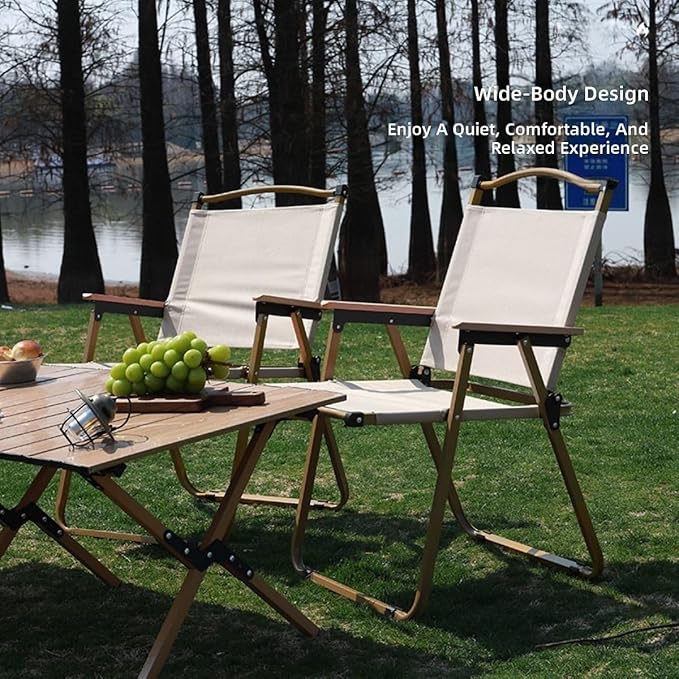 Portable Camping Chair Lightweight Folding Outdoor Chair with Roll Up Top Easy Assembly Durable Design Perfect for Campers Hikers Travelers Family Outings Carry Bag Included