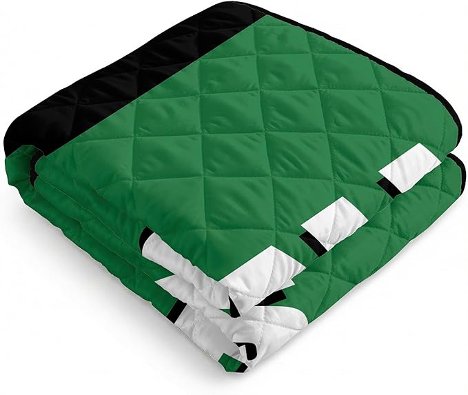 Northwest NBA Taffeta Outdoor Blanket Foldable Camping Picnic Ground Mat 60 x 70 Inches