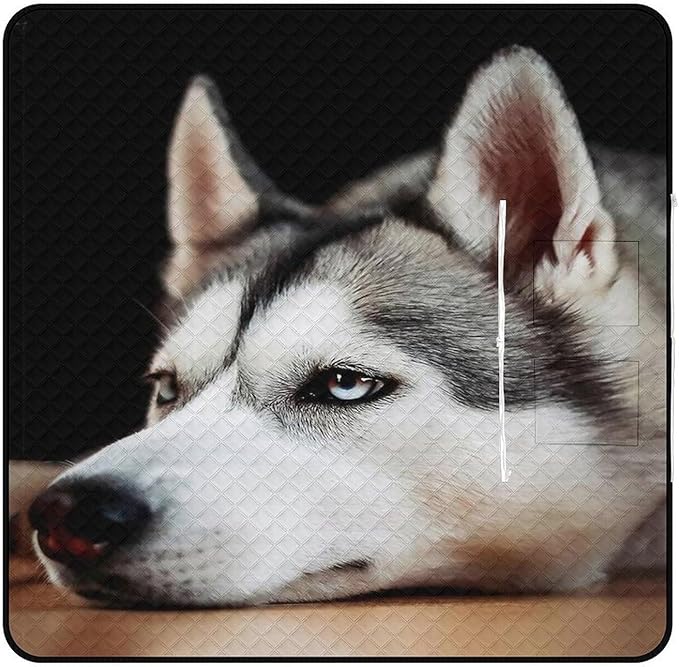 Husky Dog Beach Blanket Outdoor Packable Picnic Blanket with Zipper Folds Into Tote Bag Waterproof Picnic Mat Portable Beach Mat for Camping Hiking Festivals