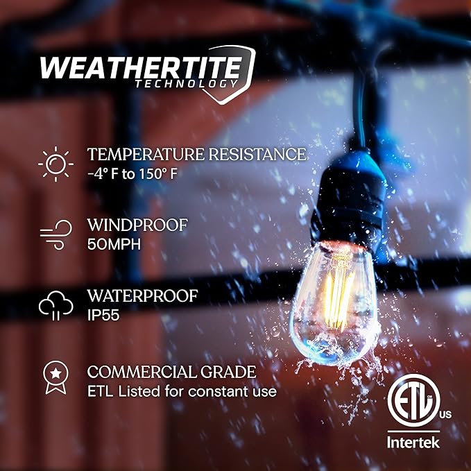 Brightech Ambience Pro - Waterproof LED Outdoor String Lights - Hanging Dimmable 2W Vintage Edison Bulbs - 48 Ft Commercial Grade Patio Lights Create Cafe Ambience In Your Backyard