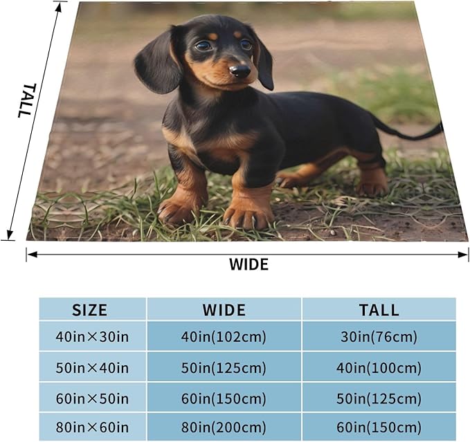 Dachshund Puppy 60x50 Printed Soft Fleece Blanket for Sofa Bed and Camping - Cozy Blanket for Travel Picnics Nighttime Use
