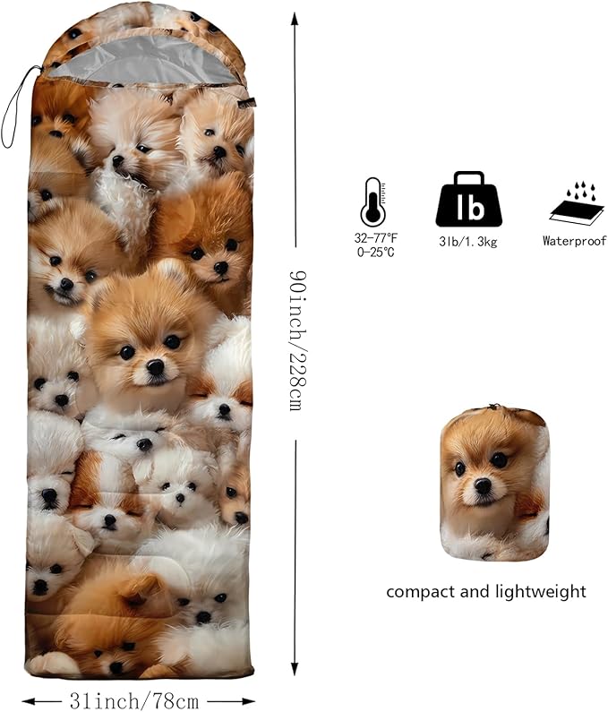 Sleeping BagSleeping BagsOutdoor Camping Sleeping Bag