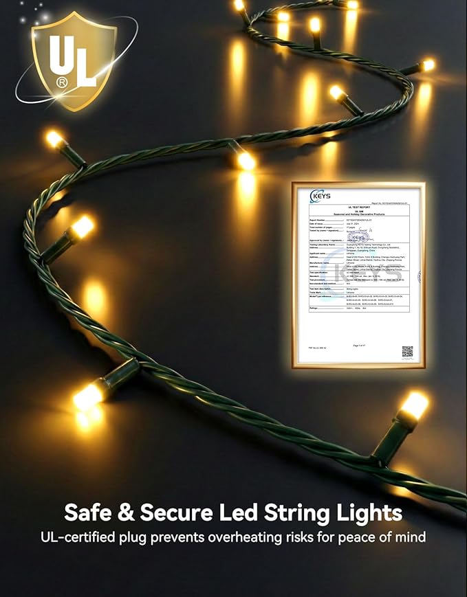 LitHome 99FT 300 LED String Lights Outdoor Waterproof 8 Modes Christmas Lights Plug In Green Wire Warm White String Light with Timer &amp Memory Function Tree Light Outdoor for Xmas Garden Patio D