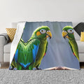Feathers 50x40 Printed Soft Fleece Blanket for Sofa Bed and Camping - Cozy Blanket for Travel Picnics Nighttime Use