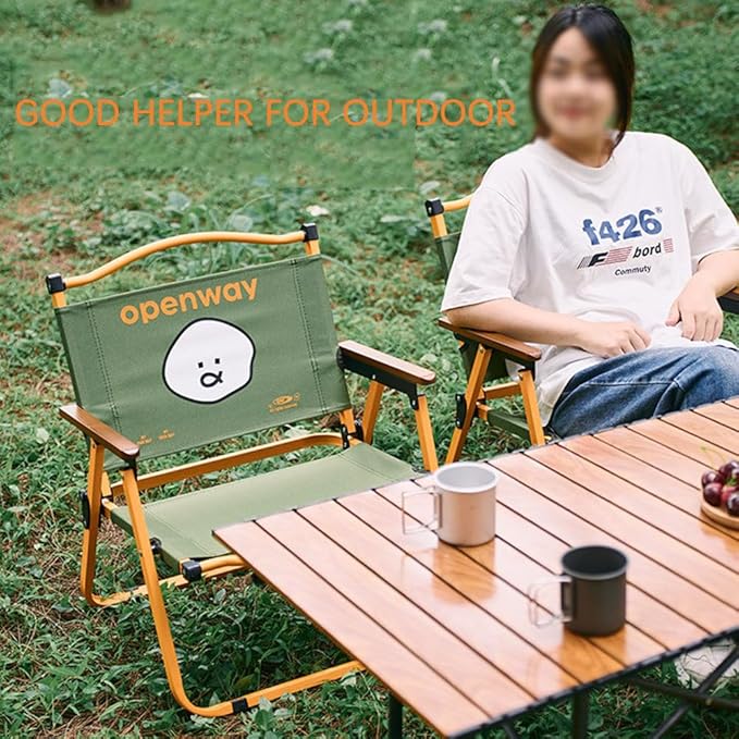 Folding Beach Chair for Adults Relax Camping Beach Chairs Foldable Armchair Lightweight Beach Chairs Supports 120 Kg for Beach Lawn ConcertGreen