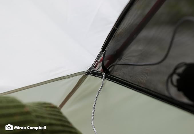 MSR Elixir 4-Person Lightweight Backpacking Tent