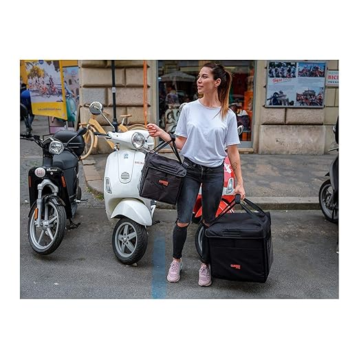 Cambro Small Folding Catering Bag