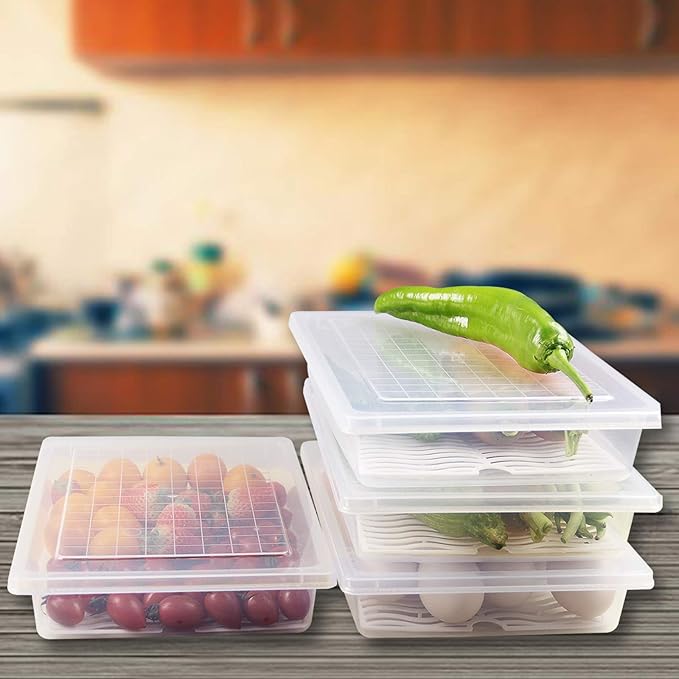 Food Storage Container Plastic Food Containers with Removable Drain Plate and Lid Stackable Portable Freezer Storage Containers - Tray to Keep Fruits Vegetables Meat and More (4Large)