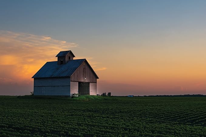 Lithonia Lighting BarnGuard LED Barn Light Dusk to Dawn Outdoor Lighting 4000K Cool White Wall or Pole Mountable Yard Light Fixture 120V Aluminum Dark Bronze