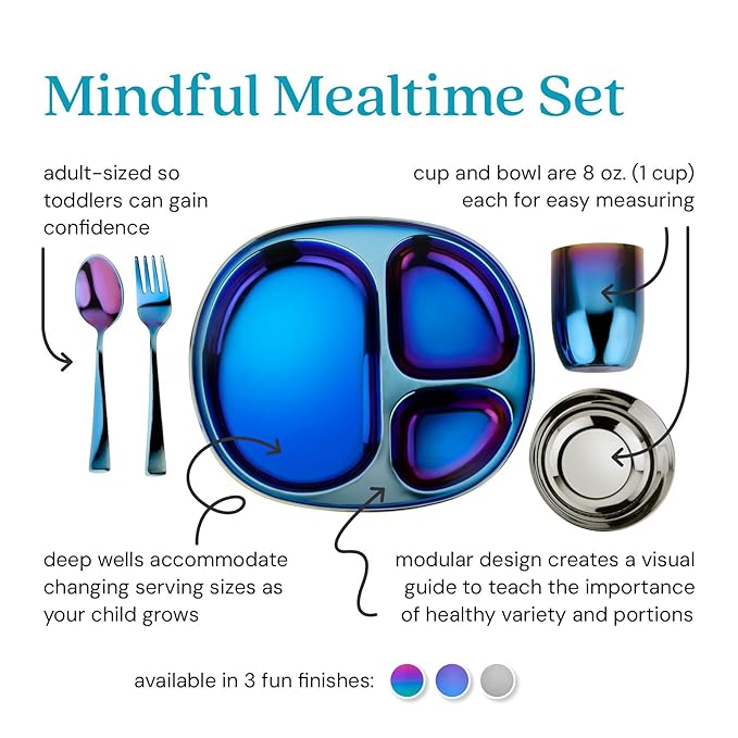 Ahimsa Stainless Steel Kids Dinnerware Set Pediatrician Designed 5 Piece Toddler Plates and Bowls Set Stainless Steel Divided Plate Cup and Kids Utensils Blue