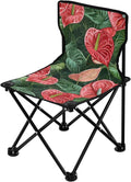 Anthurium Red Green Art Portable Backpack Beach Chairs for Adults Ultra Lightweight Folding Chair Carry Bag Included Portable Chair for Waiting in Line for Indoor Camping