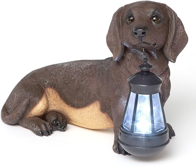 Bits and Pieces - Dog Solar Lantern Statue - Solar Powered Garden Lantern - Resin Dog Sculpture with LED Light - Outdoor Lighting and Décor (Dachshund)