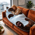 Fluffy Cat Sleeping Bag Cat Shaped Plush Sleeping Bag for Adults Plush Cats Envelope Sleepings Bags for Camping Sleepovers &amp Home Lounging