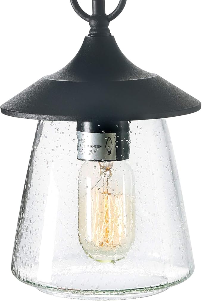LOG BARN Outdoor Pendant Lights Porch Fixture in Painted Black Metal with Clear Bubbled Glass Globe Hanging Lantern Lamp for Gazebo Entry Yard