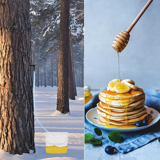 5 Sets Maple Syrup Tapping Kit Including 5 Buckets (5L) with Lid 30ft Tubing 10 Tree Taps 1 Tap &amp Drill Bit Maple Tree Tapping Kit for Experts or Beginners Maple Birch Syrup Collection Supplies