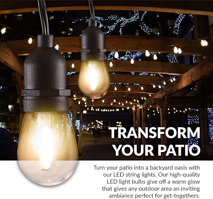 Newhouse Lighting LED String Lights with Weatherproof Technology Dimmable with Wireless Remote Control 48ft and 16 (15+1 Free) LED Light Bulbs Included Black (CSTRINGLEDDIM)