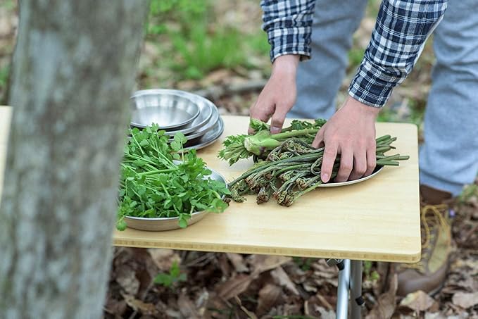 Snow Peak Single Action Camping Table Portable Dining and Game Outdoor Table - Low