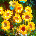 Brightown Outdoor Solar Garden Lights - 4 Pack LED Flower Lights with Larger Sunflowers Bigger Solar Panel Waterproof for Outside Yard Patio Garden Decorations