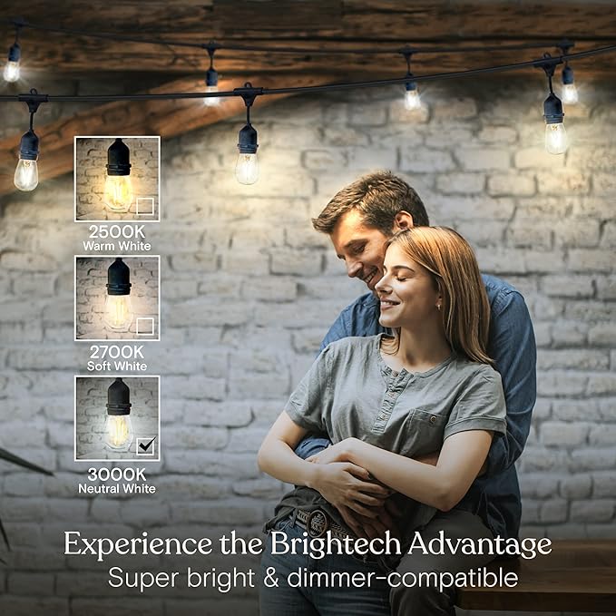 Brightech Ambience Pro - Waterproof LED Outdoor String Lights - Hanging Dimmable 2W Vintage Edison Bulbs - 48 Ft Commercial Grade Patio Lights Create Cafe Ambience in Your Backyard