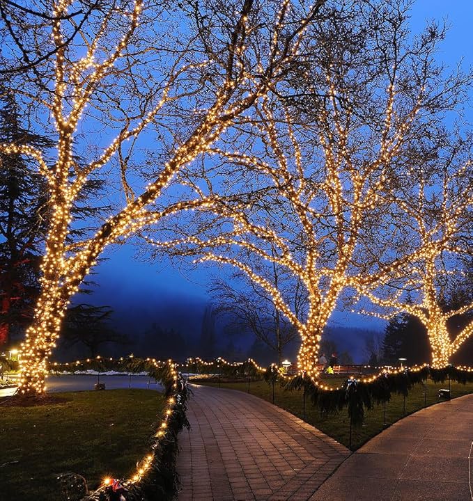 Novelty Lights 24FT 70 LED C6 Christmas String Lights Outdoor Commercial Grade Tree Decorations Permanent LED Lights (Warm White)