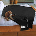 Waterproof Blanket | Machine Washable Dog Bed Cover | Waterproof Pet Blanket for Couch Bed &amp Car | Cat &amp Dog Blankets for Large Dogs Pets &amp Adults | Travel Size - 65x50in Black