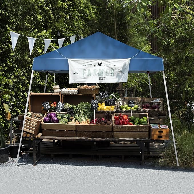 3 x 3M Portable Home Use Waterproof Folding Tent Blue
