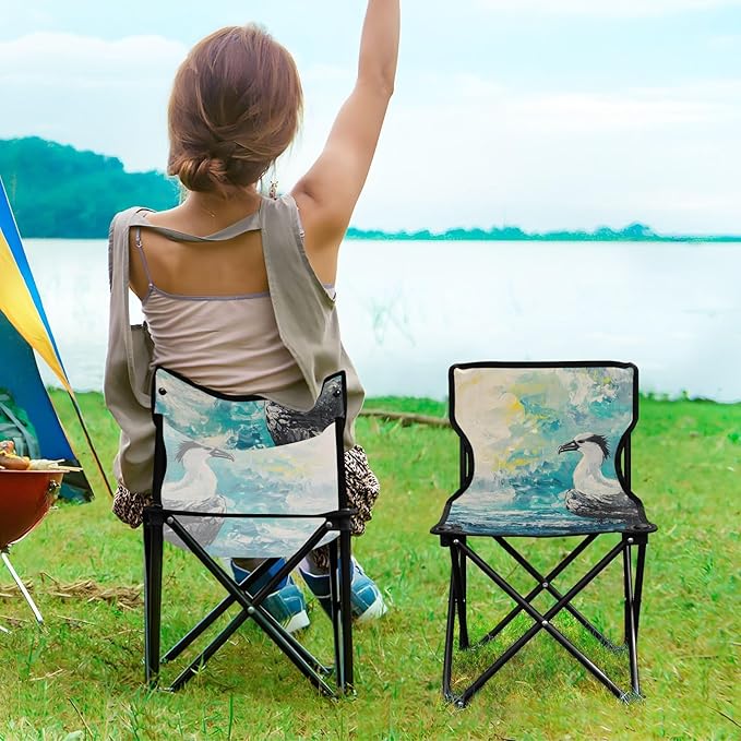 Vulture Portable Camping Chairs Folding Chair - Durable Oxford Fabric Lightweight Iron Frame Easy Fold Design - Ideal for Outdoor Activities Camping Fishing and Travel