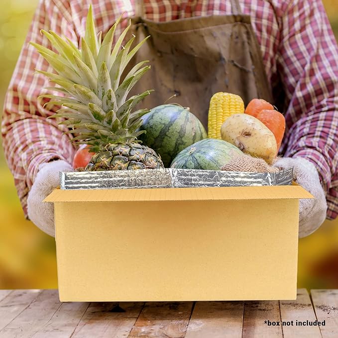 ABC PACK &amp SUPPLY 50 Pack Silver Foil Insulated Box Liners 10 x 10 x 10 inches. Shipping Boxes for Frozen Food Odorless Insulated Containers. Bulk of Leakproof Cold Boxes for Frozen Fish Meat