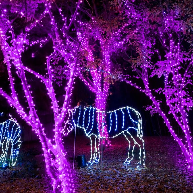 New Upgraded Purple Solar String Lights Outdoor 2 Pack Total 144FT 400LED Solar &amp USB Rechargeable 19 Mode Solar Halloween Lights for Outside Yard Patio Garden Party Xmas Halloween Decorations Pu