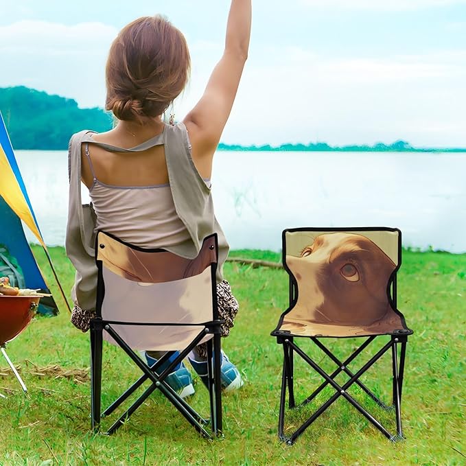 Confused Dog Portable Camping Chairs Folding Chair - Durable Oxford Fabric Lightweight Iron Frame Easy Fold Design - Ideal for Outdoor Activities Camping Fishing and Travel