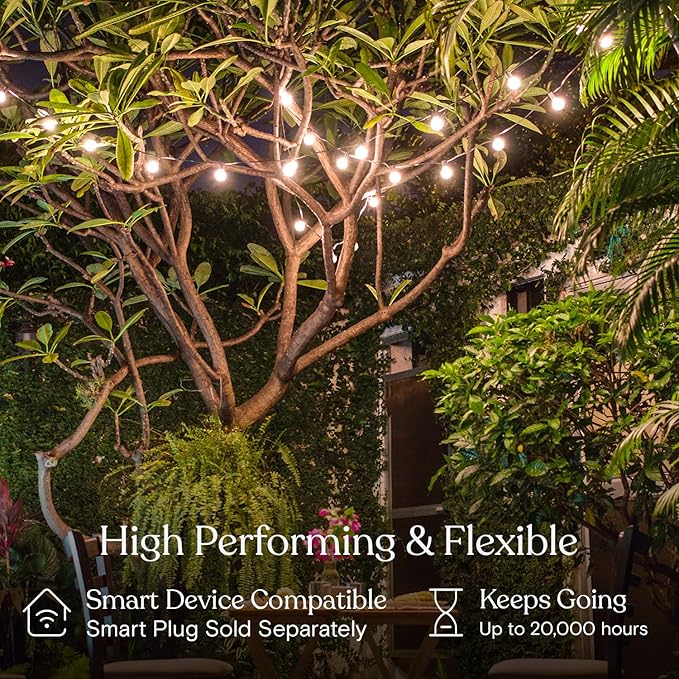 Brightech Ambience Pro LED String Lights - 26 Ft Patio Lights Outdoor Waterproof - Globe Porch String Lights for Outside Christmas Backyard - 12 Bulbs 1W Vintage Edison Warm White Black