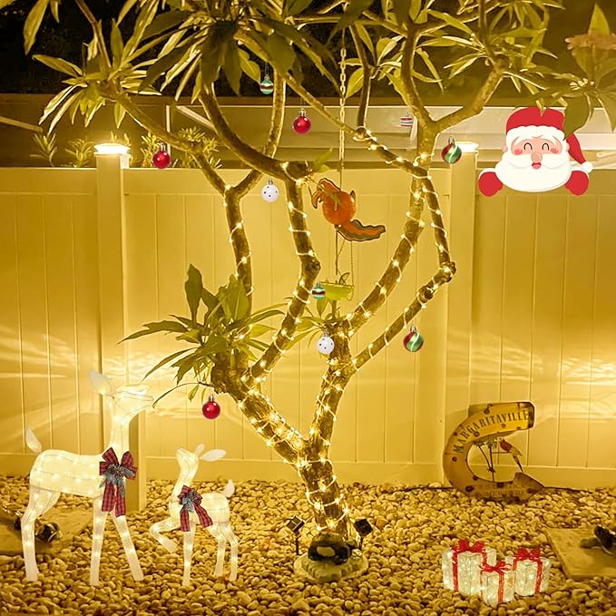 YEGUO Solar Valentines Light Outdoor Waterproof 66ft 200 LED Warm White Rope Lights 8 Modes Tube Christmas String Lights in Clear Thin Tube