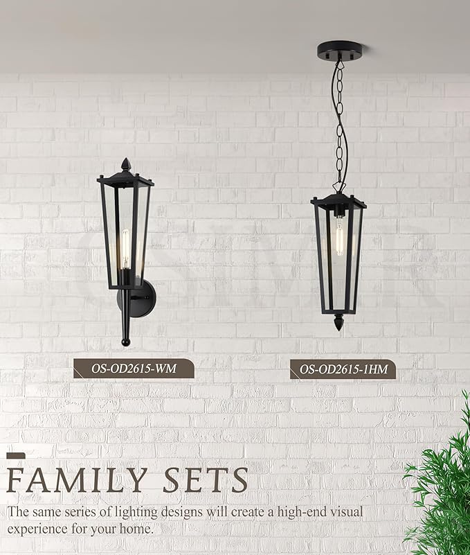 Outdoor Pendant Lights for Porch 16 Black Outdoor Pendant Light with Clear Glass Modern Hanging Porch Lighting Fixtures with Adjustable Chain for Gazebo Foyer OS-OD2615-1HM